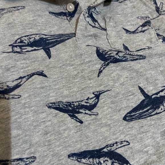 Whale speed boat stripe polo button bundle - Picture 2 of 5